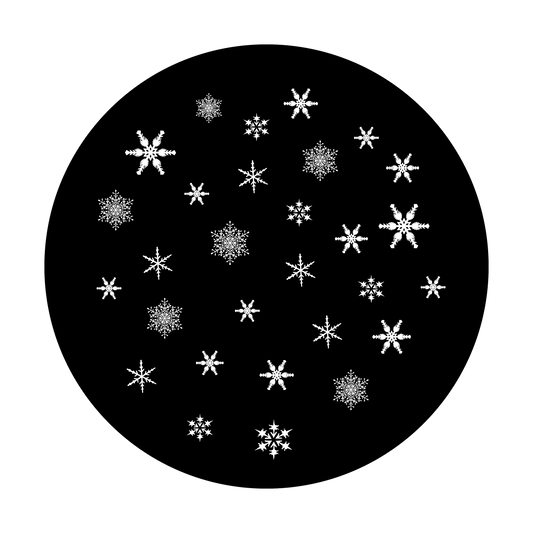Delicate Snowfall