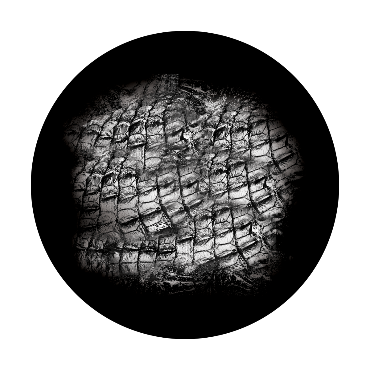 Gator Skin