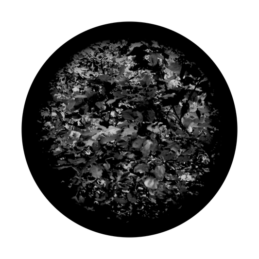 Leaves 2