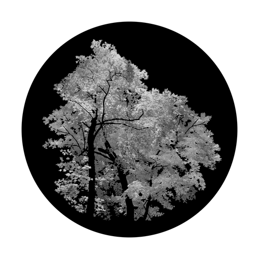 One, Two, Tree
