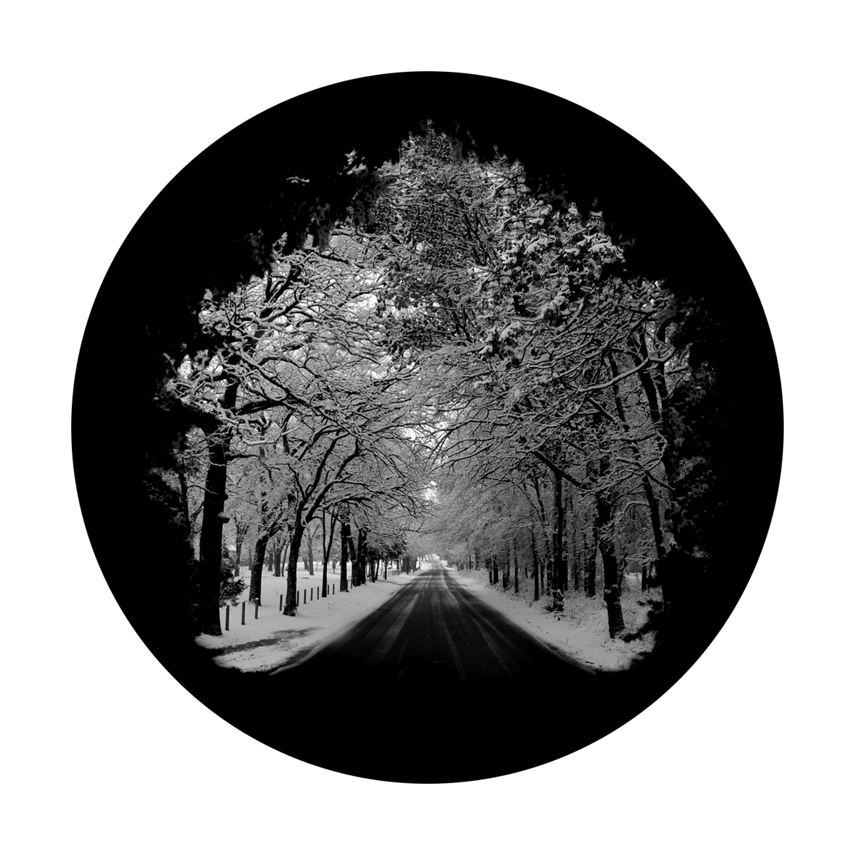Winter Lane