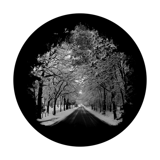 Winter Lane