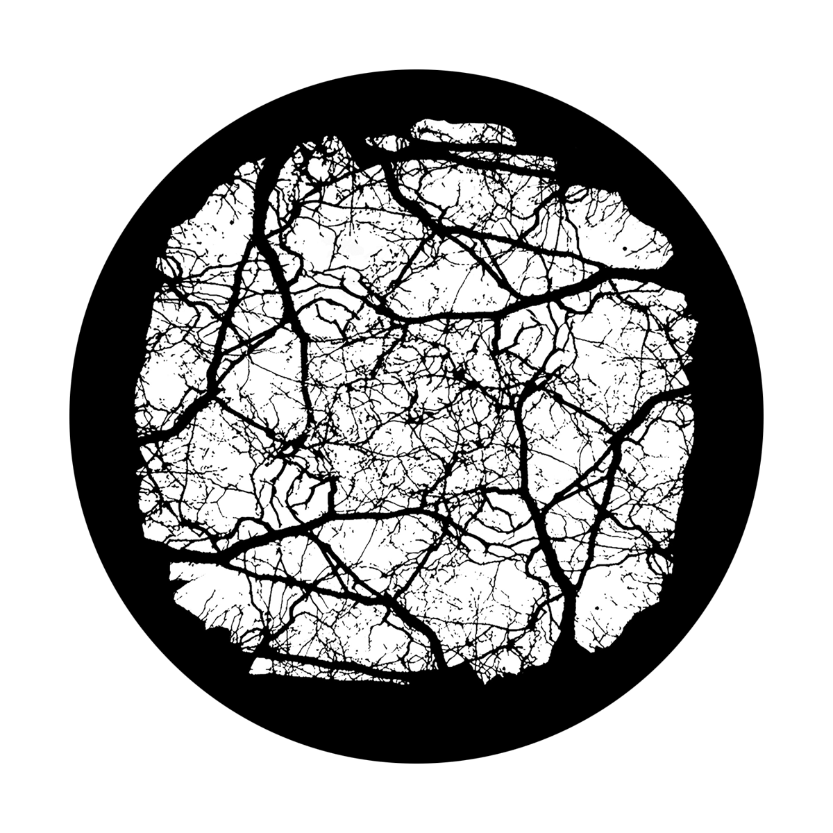 Empty Branches Canopy
