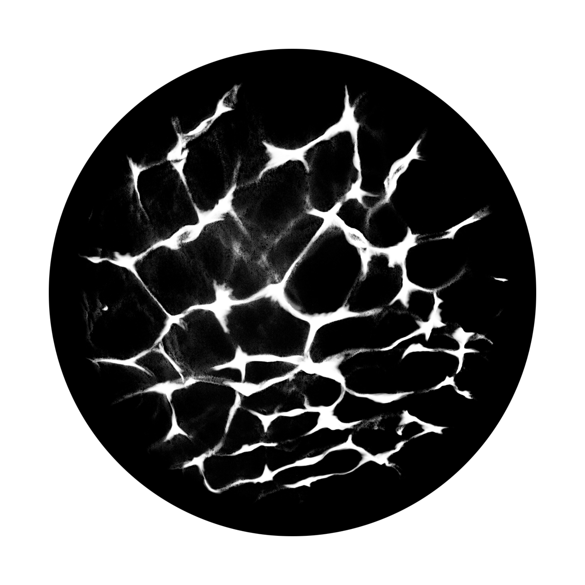 Cell Biology