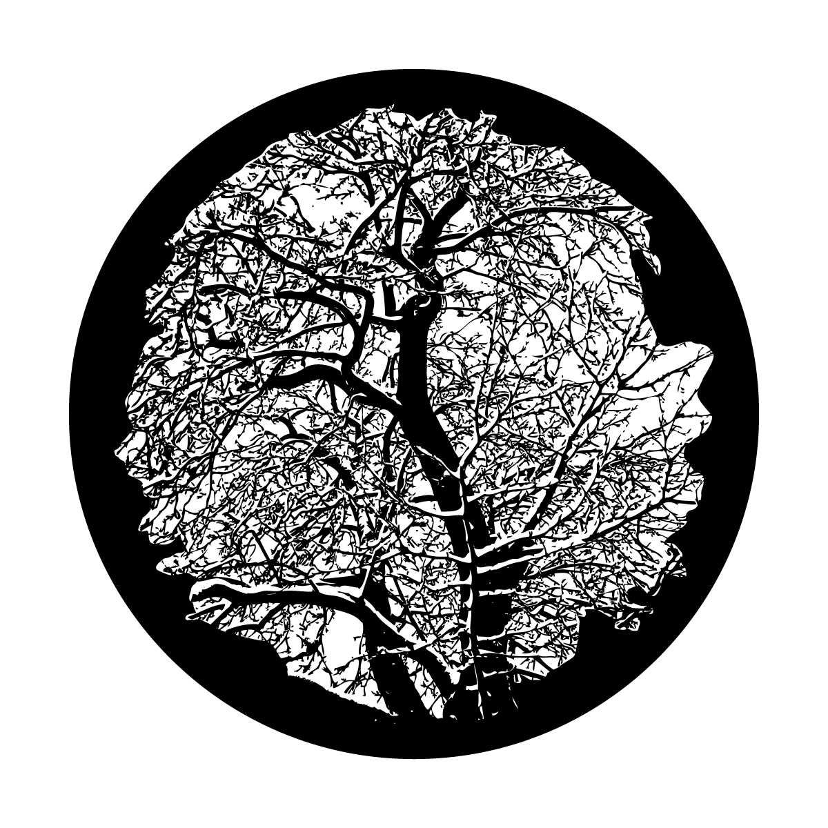 Winter Tree