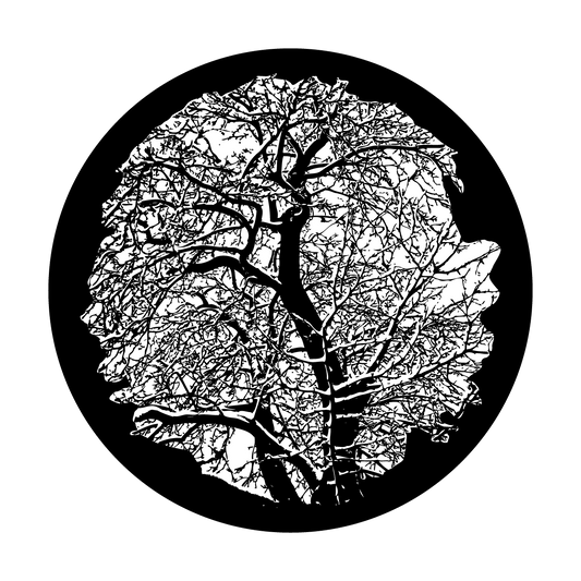 Winter Tree