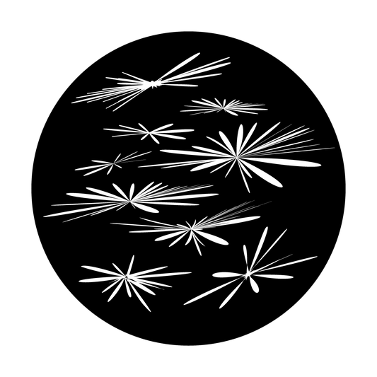 Flowers in Flight