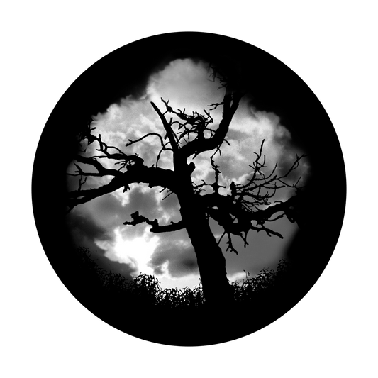 Haunted Tree