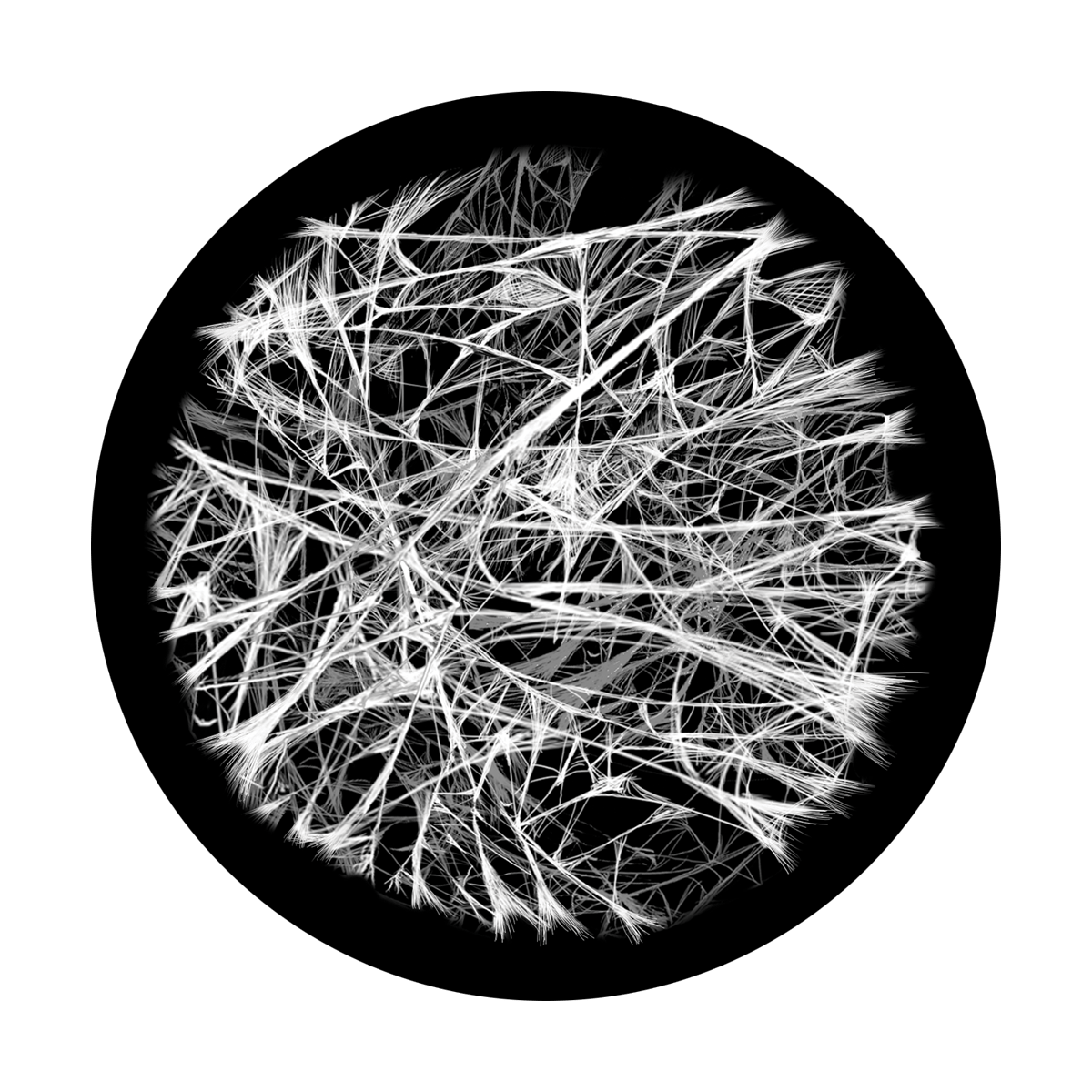 Intricate Web