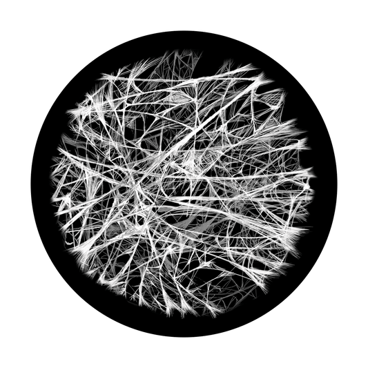 Intricate Web