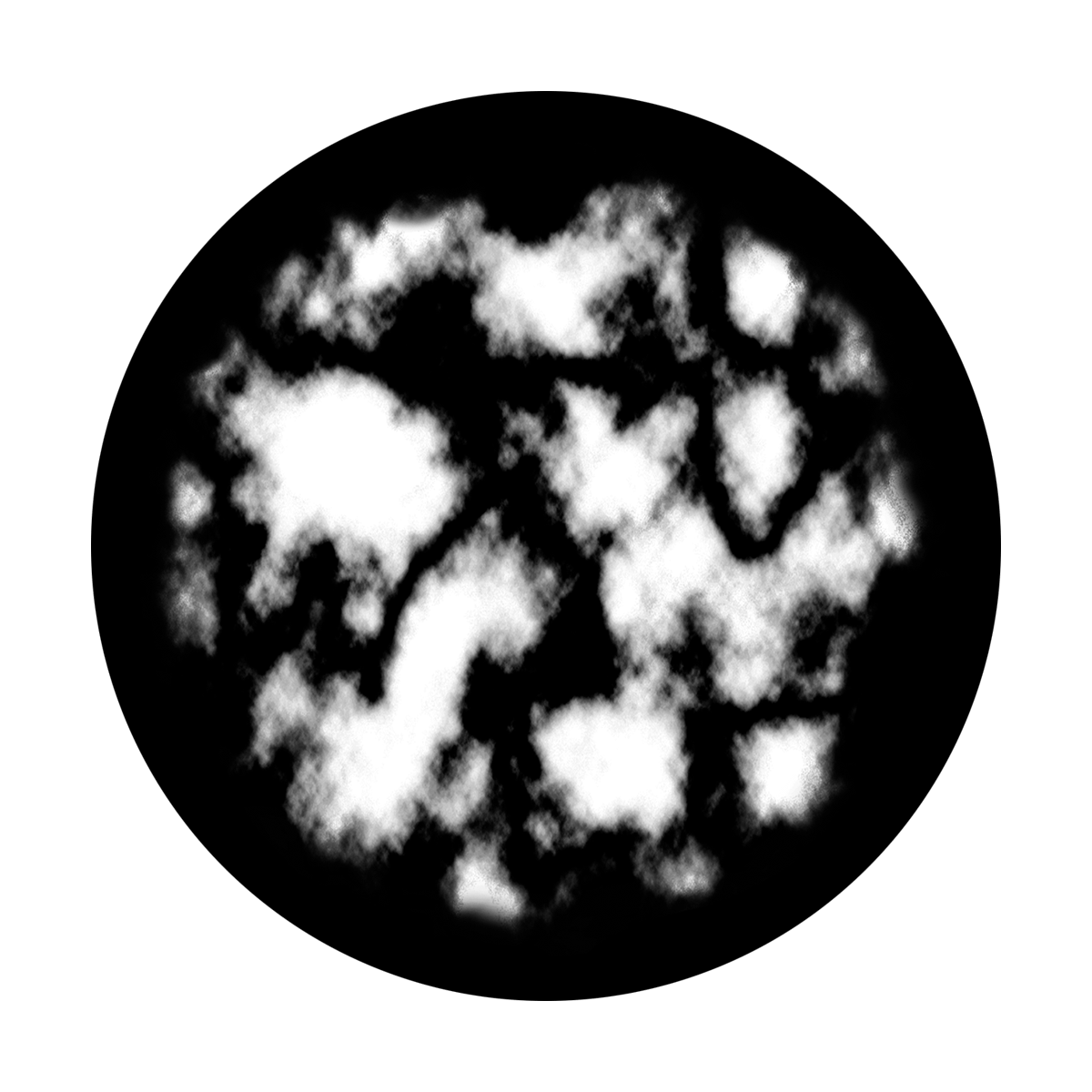 Petri Dish