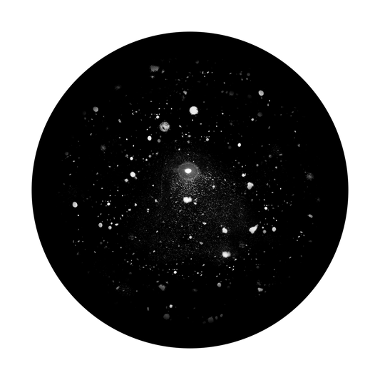 Midnight Snowfall