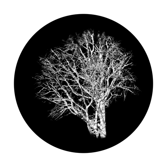 Chilling Tree