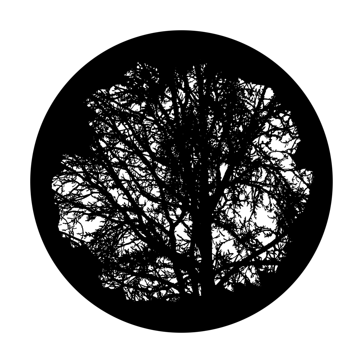Mature Tree