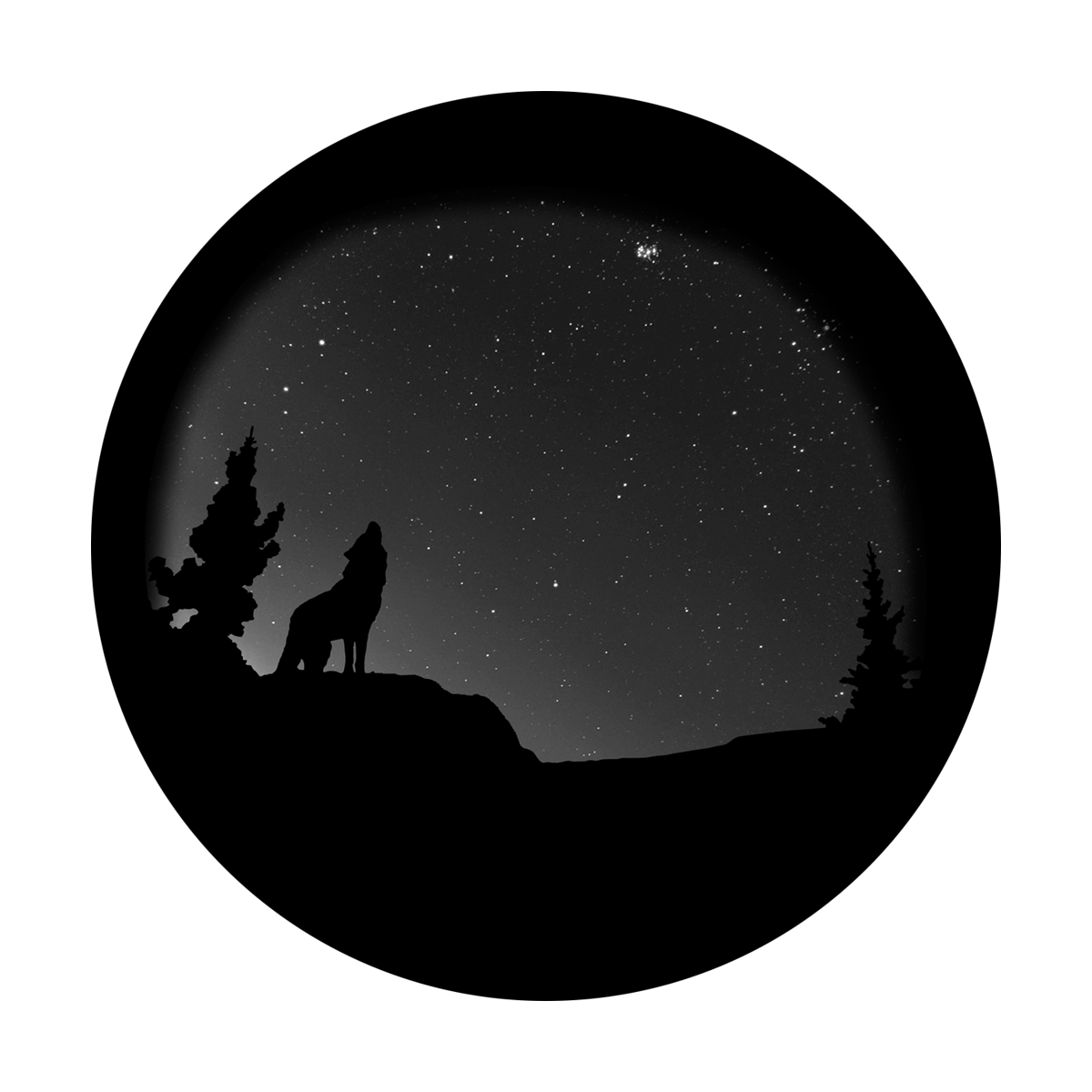 Evening Howl
