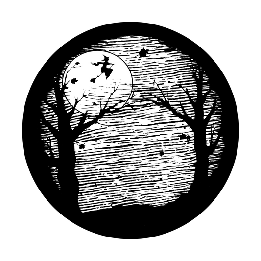 Witch in Flight