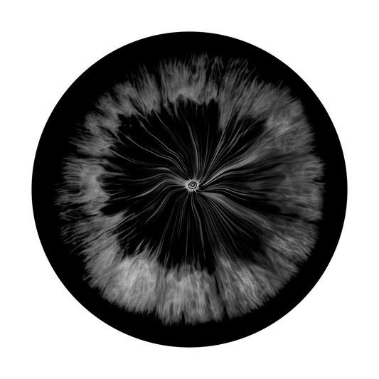 Black Implosion