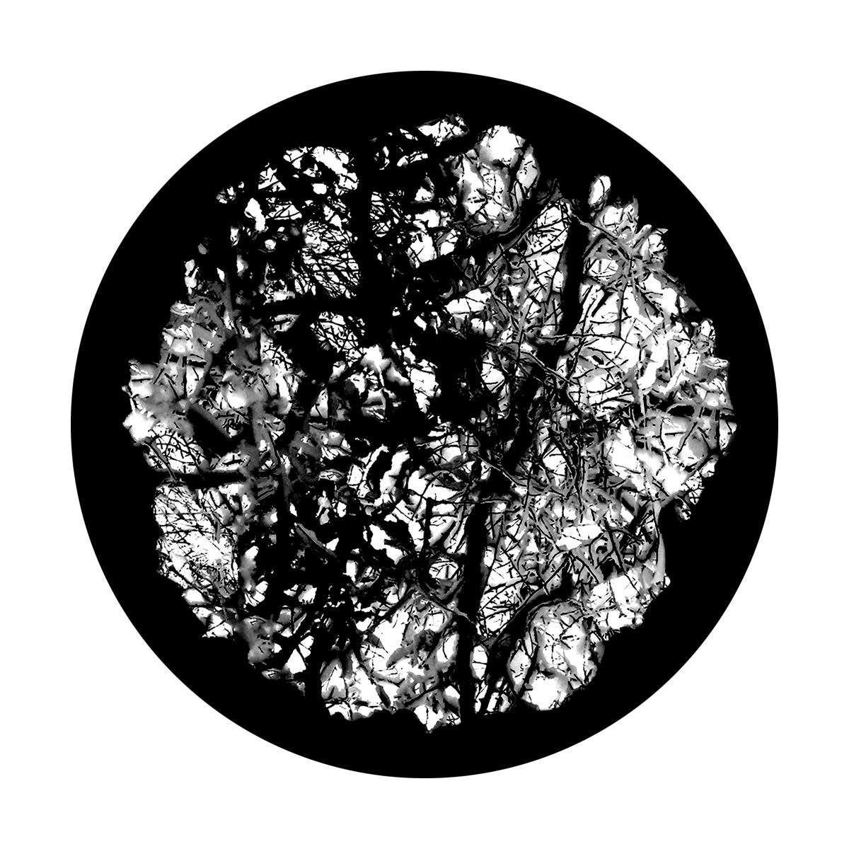 Foil Wad