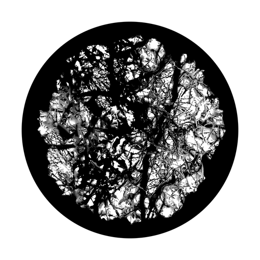 Foil Wad
