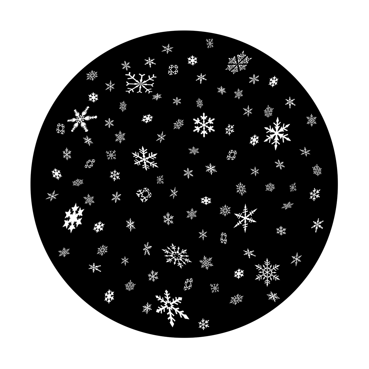 Elegant Winter