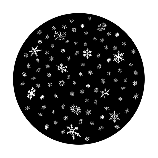 Elegant Winter
