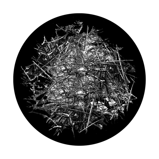Thicket Sticks