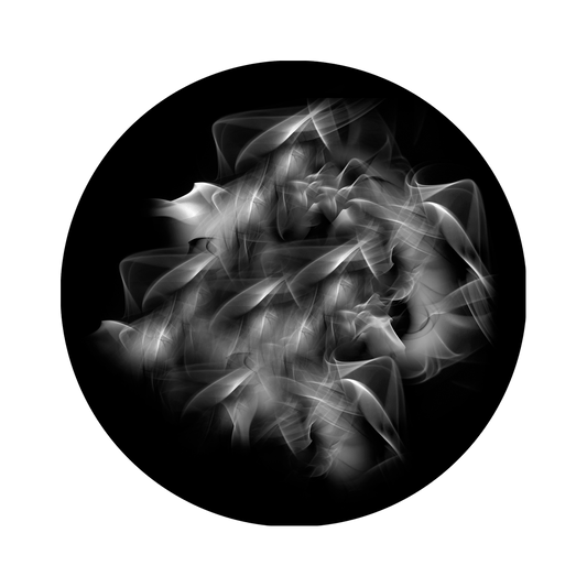 Ectoplasm