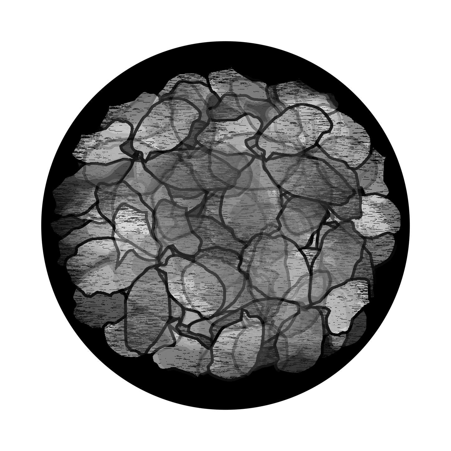 Dehydrated Potatoes