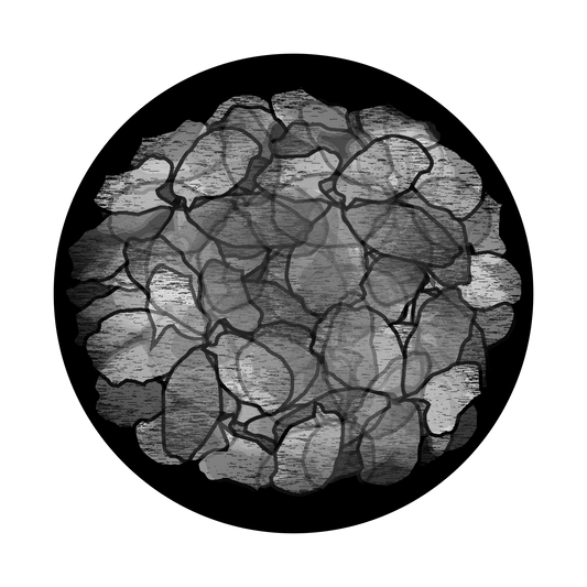 Dehydrated Potatoes