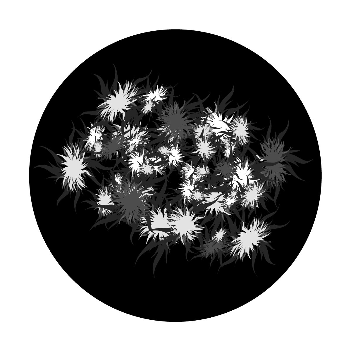 Pollen Count