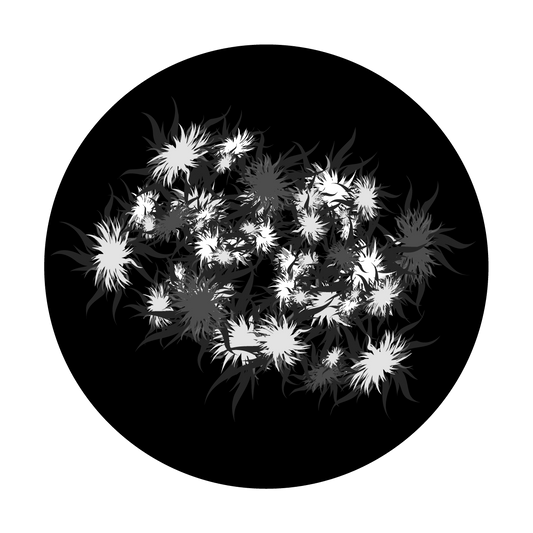 Pollen Count