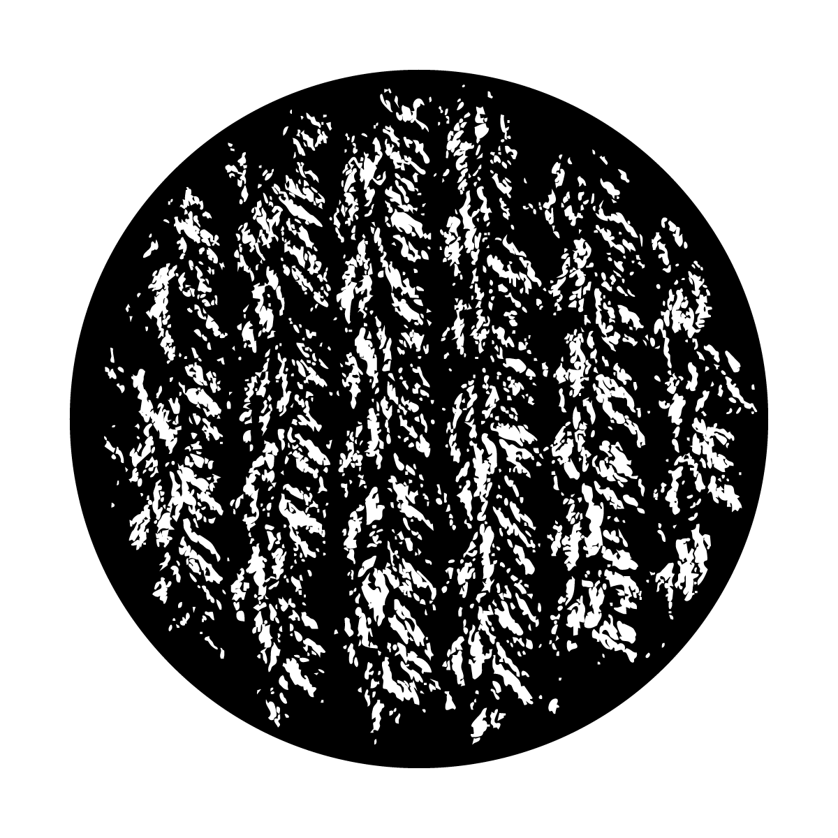 Tire Tracks