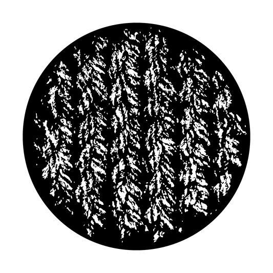 Tire Tracks