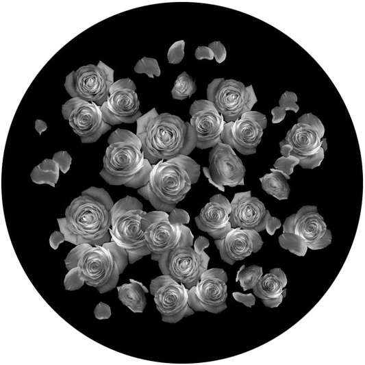 Breakup Roses